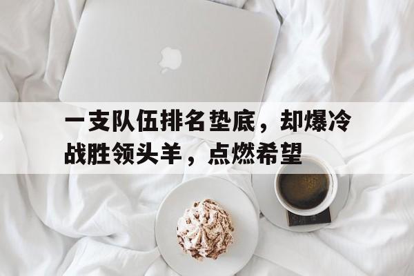 包含一支队伍排名垫底，却爆冷战胜领头羊，点燃希望的词条